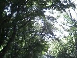 電話帳ナビ