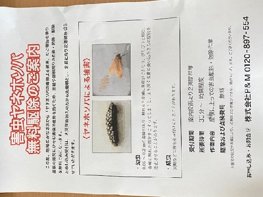 電話番号はp M害虫駆除営業